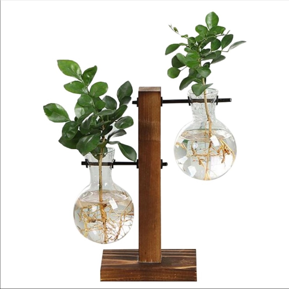 Wooden Frame Glass Tabletop terrarium 🌱 - Picture 2 of 3